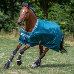 Bucas Atlantic 50 Gram Turnout Blanket