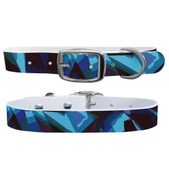 C4 Dog Collar