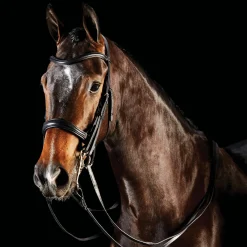 Collegiate® ComFiTec™ Weymouth Bridle