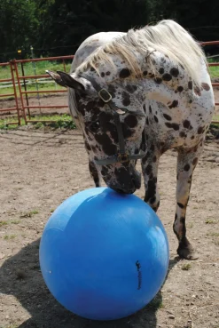 Jolly Mega Ball